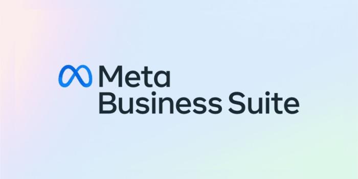 Meta business Suit