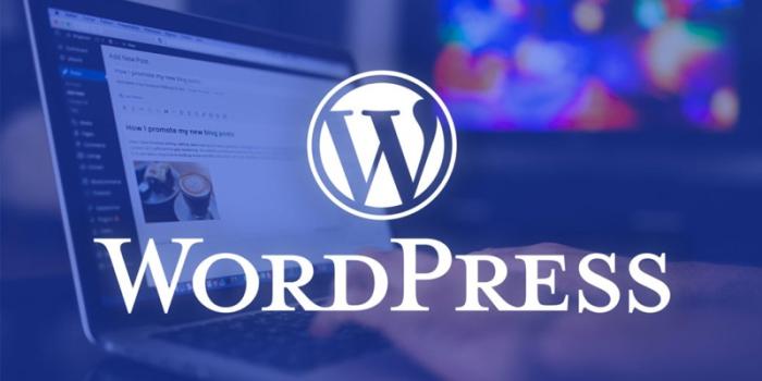  Wordpress 1
